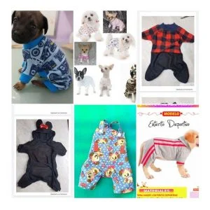 Coleção de imagens mostrando cachorrinhos vestindo várias roupas coloridas e divertidas.