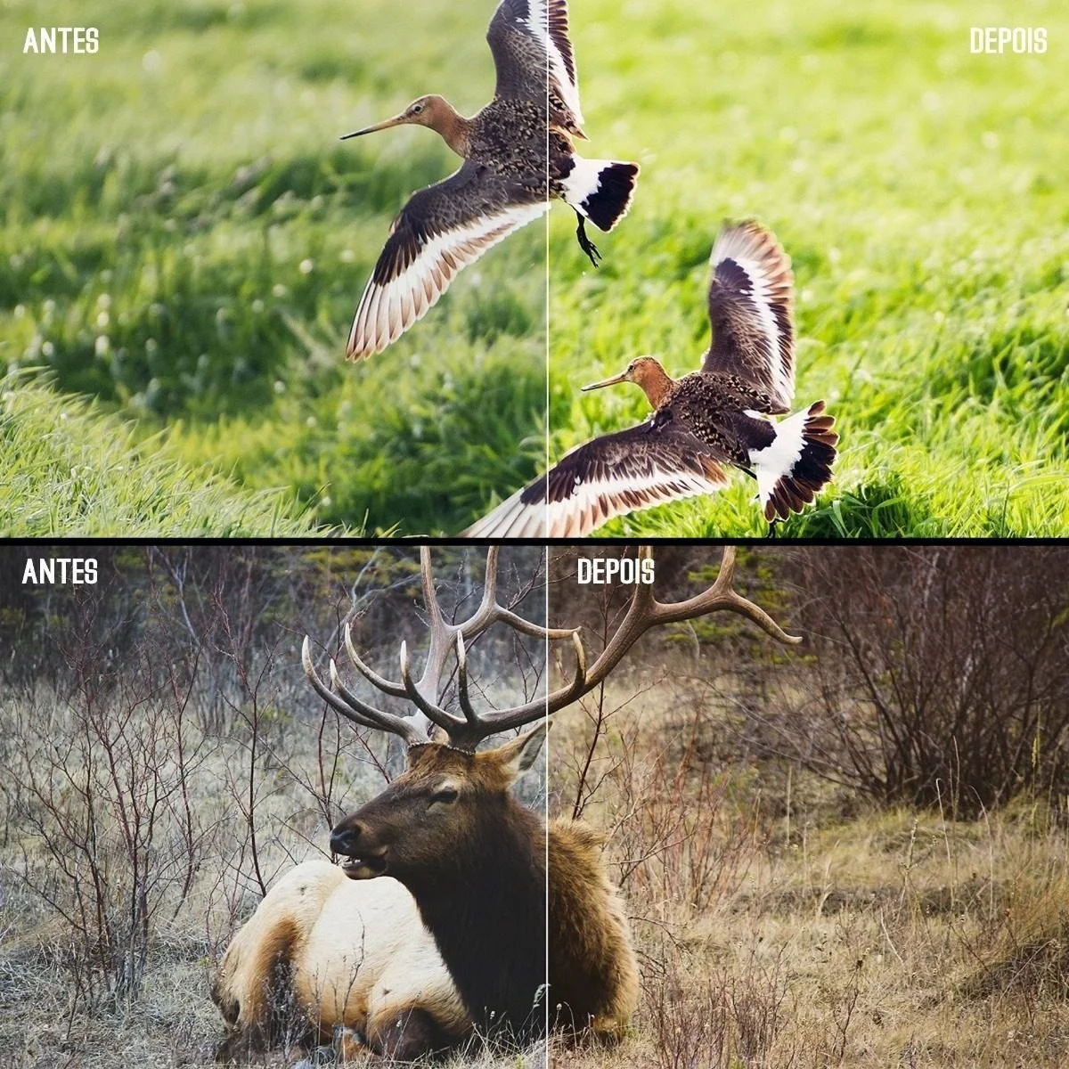 Pack +16 Mil Presets Profissionais Lightroom Edição De Fotos 9 Pack +16 Mil Presets Profissionais Lightroom Edição De Fotos