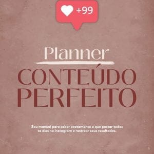 Planner Digital Conteúdo Perfeito Lívia Brasil Em Pdf