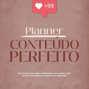 Planner Digital Conteúdo Perfeito Lívia Brasil Em Pdf