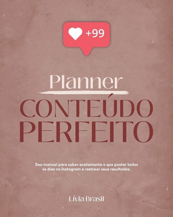 Planner Digital Conteúdo Perfeito Lívia Brasil Em Pdf