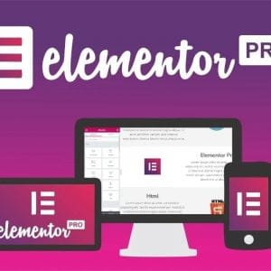 Plugin Elementor Pro Sem Limites De Domínios Envio Imediato