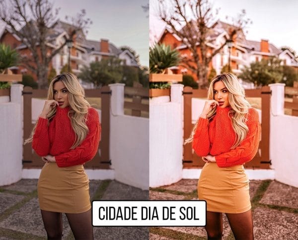 Presets Lightroom Lívia Brasil Pack Coffee Mobile Celular