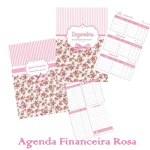 agenda financeira rosa planner financeiro 1