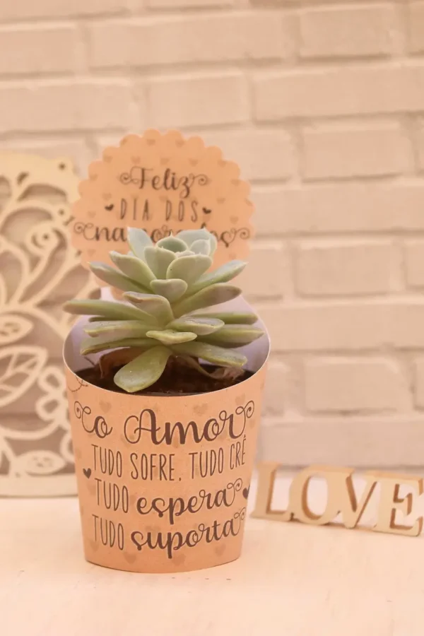 Amor e Natureza: Moldes de Suculentas para Ele e Ela