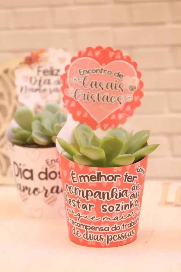 Amor e Natureza: Moldes de Suculentas para Ele e Ela