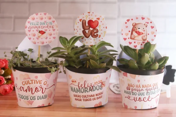 Amor e Natureza: Moldes de Suculentas para Ele e Ela