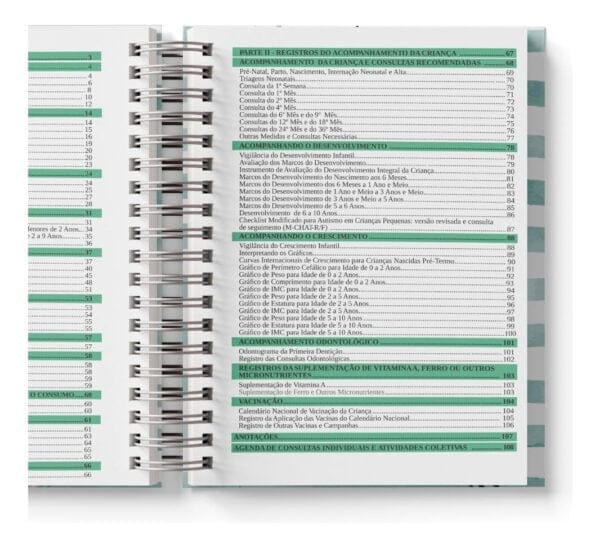 Arquivo Pdf Caderneta da Criança Clean - 5ª Edição - 5 Cores