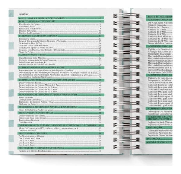 Arquivo Pdf Caderneta da Criança Clean - 5ª Edição - 5 Cores