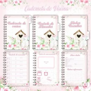 Caderneta de Vacina Jardim Rosa - Arquivo Digital 14 Caderneta de Vacina Jardim Rosa - Arquivo Digital