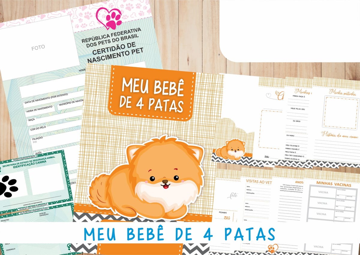 Caderneta de Vacina Personalizada para Cachorro Macho 2 Arte digital de documentos para pets, incluindo certidão de nascimento e carteira de vacinação.
