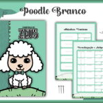 Caderneta Vacina Pet Poodle Branco Macho Arquivo Digital