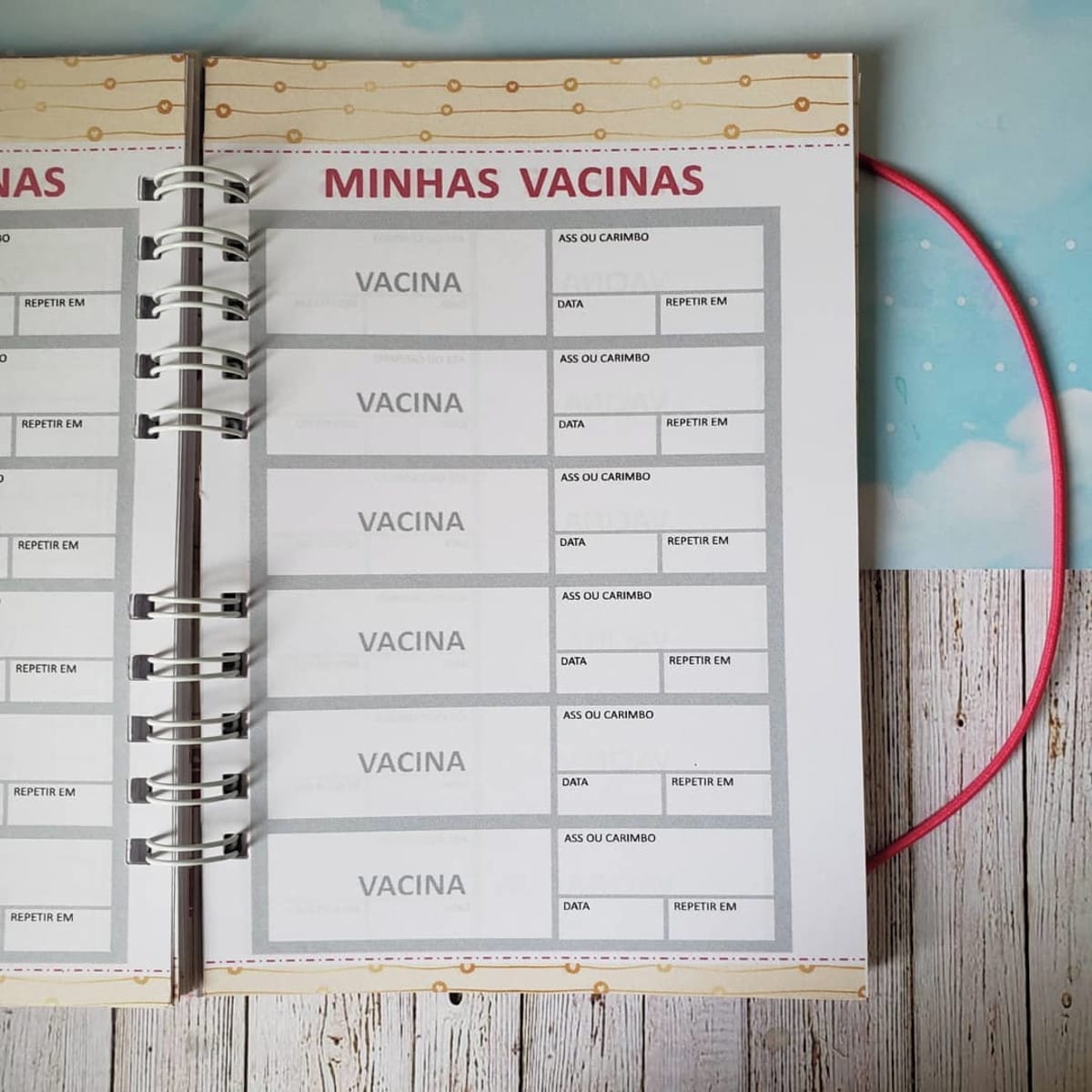 Caderneta de Vacinas Pet Digital com Espaço para Fotos 5 Página de caderno espiral com registro de vacinas, campos para data e assinatura.
