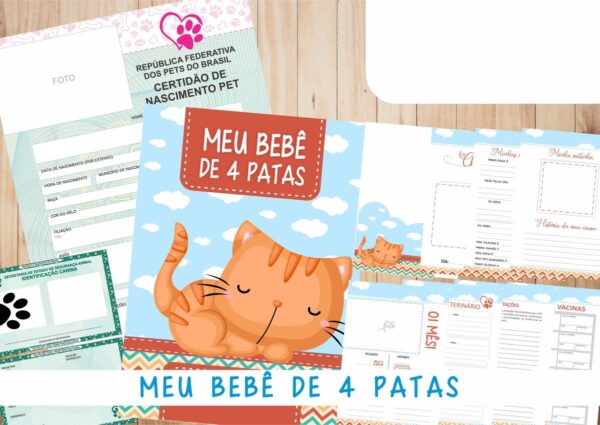 Caderneta Vacina e Registros Momentos - Cat Macho 2
