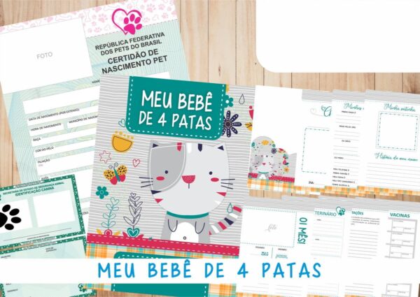 Caderneta Vacina e Registros Momentos - Cat Macho 4