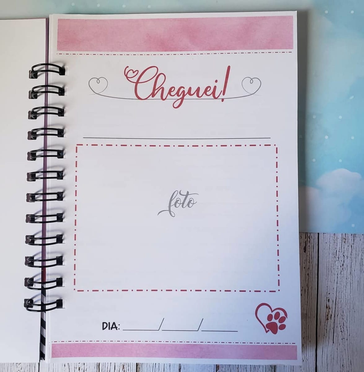Kit Caderneta de Vacinação Personalizada para Cachorrinha 4 Layout digital de página para álbum de chegada, com foto, data e pata.