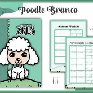 Caderneta de Vacinação Pet Poodle Branco Arquivo Digital 16 Caderneta Vacina Pet Poodle Branco Macho Arquivo Digital