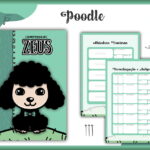 Arte digital de caderneta pet com poodle preto e páginas de vacinas.