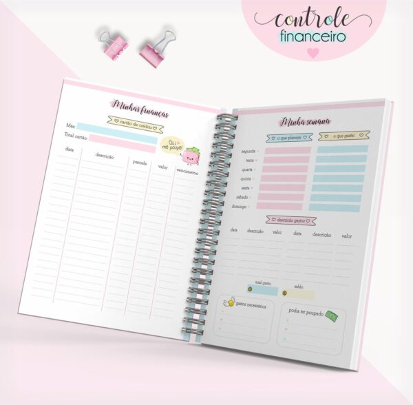 Caderno Controle Financeiro Feminino 04 - Arquivo Digital