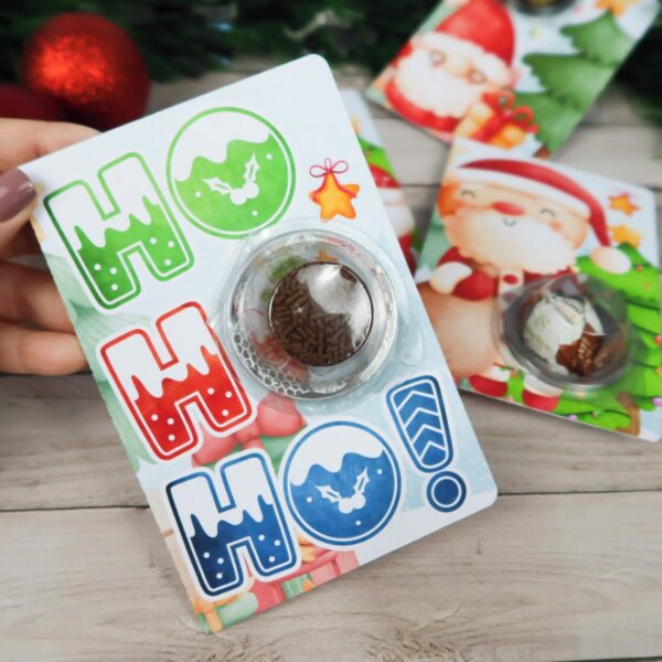 Card e Cartão Blister Natal - Arquivo Digital