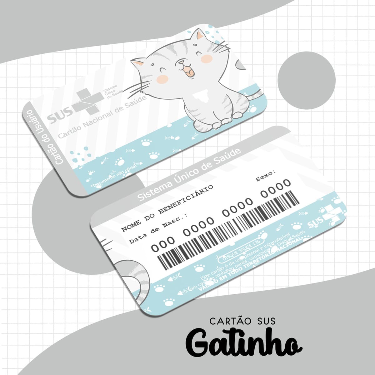 Cartão SUS Gatinho Menino Digital PNG Para Imprimir 1 Cartão SUS Gatinho Menino Digital PNG Para Imprimir