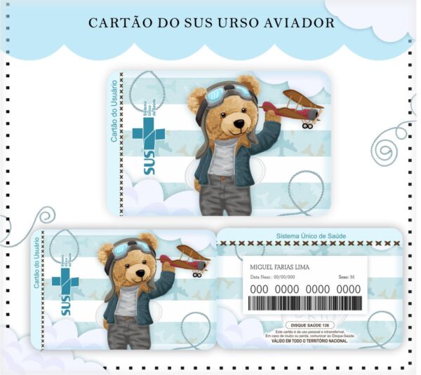 Cartão Sus Urso Aviador - Arquivo Digital