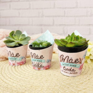 Arte digital: três suculentas em vasos decorados com mensagens "Mãe".