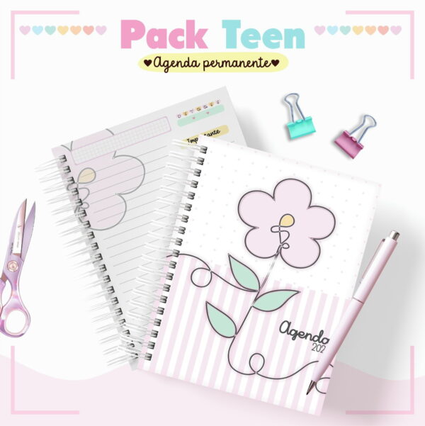 Combo Agendas Infantil Permanente Meninas - Arquivo Digital