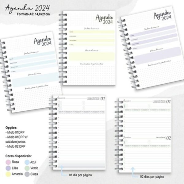 Combo Miolos Datados 2024 - Arquivo Digital