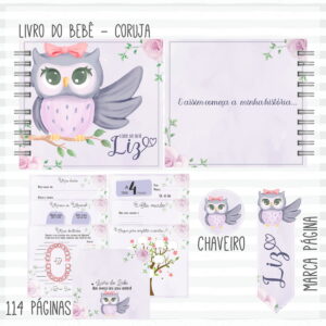 Kit digital Livro do Bebê Coruja para imprimir e montar 33 livro do bebe coruja arquivo digital
