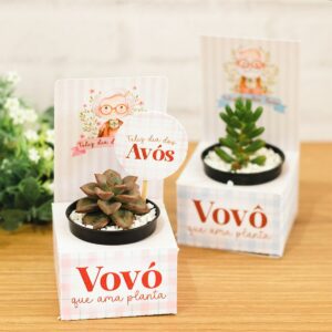 mimos dia dos avos png e pdf avos
