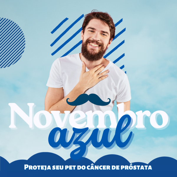 Modelos Canva Novembro Azul 30 Templates Editáveis + Bônus