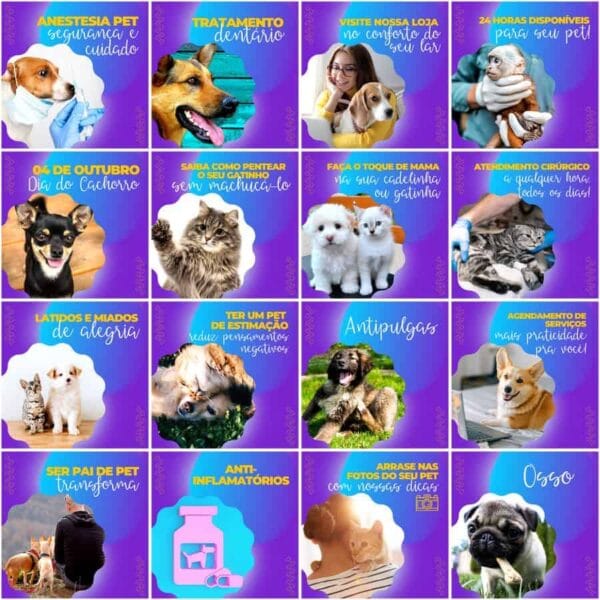 Modelos Canva Pet Shop 200 Templates Editáveis + Legendas