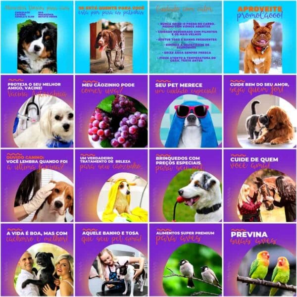 Modelos Canva Pet Shop 200 Templates Editáveis + Legendas