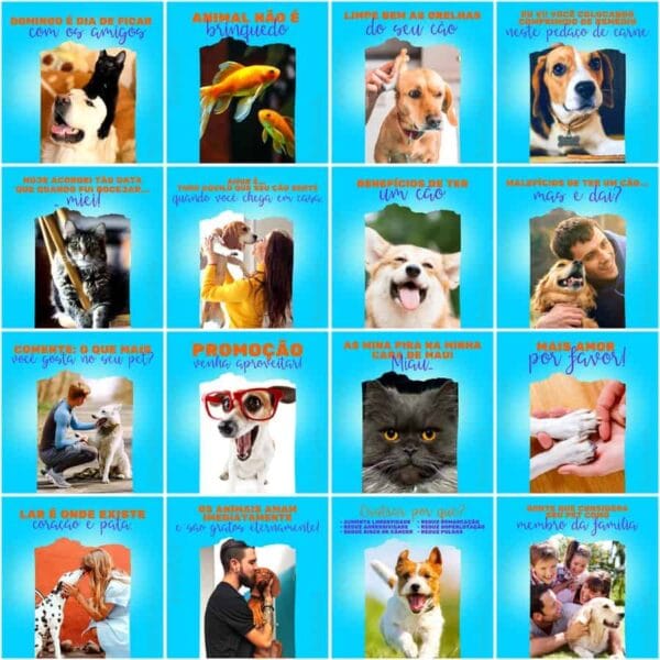 Modelos Canva Pet Shop 200 Templates Editáveis + Legendas