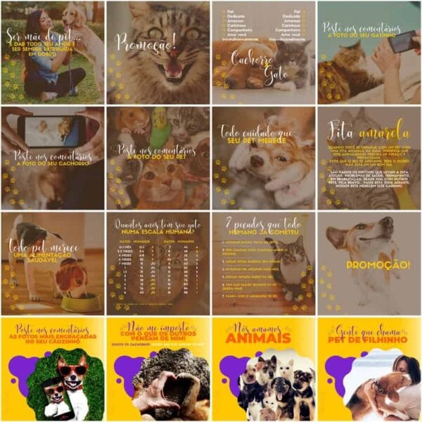 Modelos Canva Pet Shop 200 Templates Editáveis + Legendas