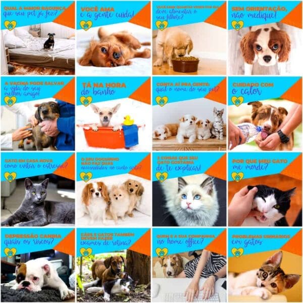 Modelos Canva Pet Shop 200 Templates Editáveis + Legendas