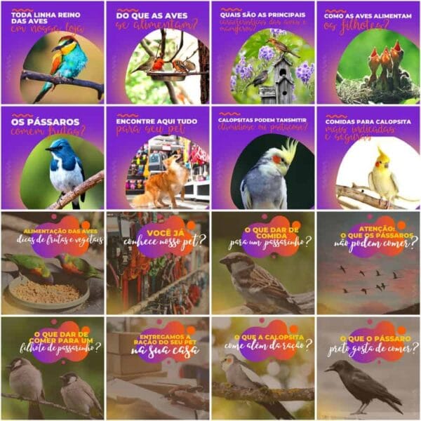 Modelos Canva Pet Shop 200 Templates Editáveis + Legendas