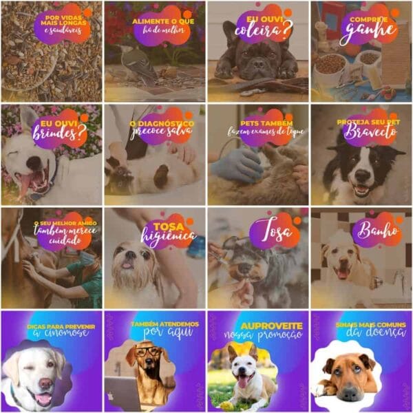 Modelos Canva Pet Shop 200 Templates Editáveis + Legendas
