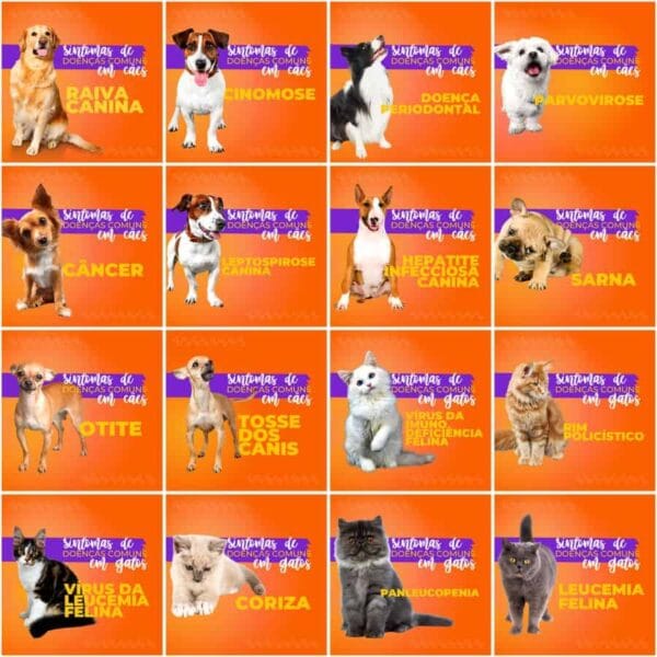 Modelos Canva Pet Shop 200 Templates Editáveis + Legendas