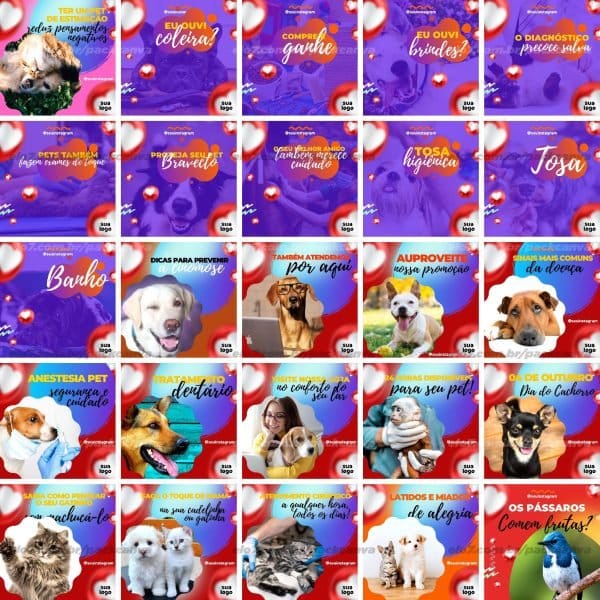 Modelos Canva Pet Shop Petshop 100 Templates Editáveis + Bônus