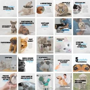 Modelos Canva Veterinário Pet Shop Petshop 2.0 25 Templates Editáveis + Bônus