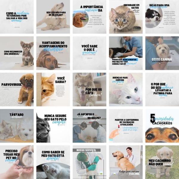 Modelos Canva Veterinário Pet Shop Petshop 2.0 25 Templates Editáveis + Bônus