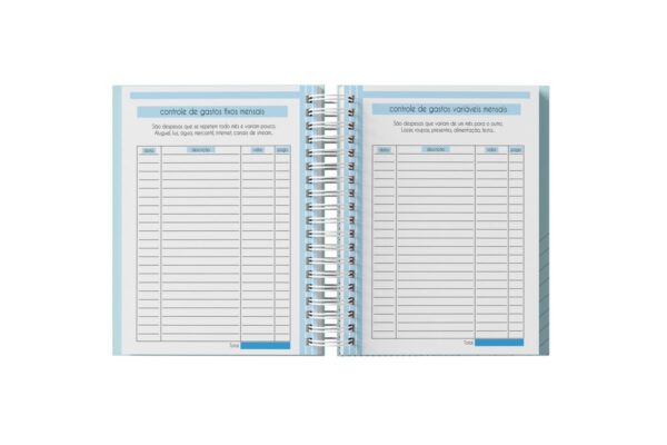 Planner Financeiro Feminino 2025 - Arquivo Digital