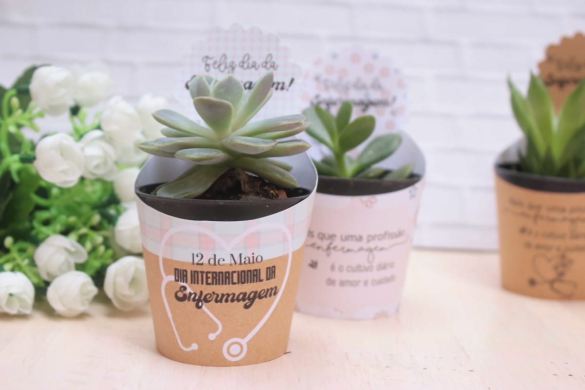 Saia suculenta Dia do Enfermeiro em kit digital 2 Pequenas suculentas em vasos decorados para o Dia Internacional da Enfermagem, com flores brancas.