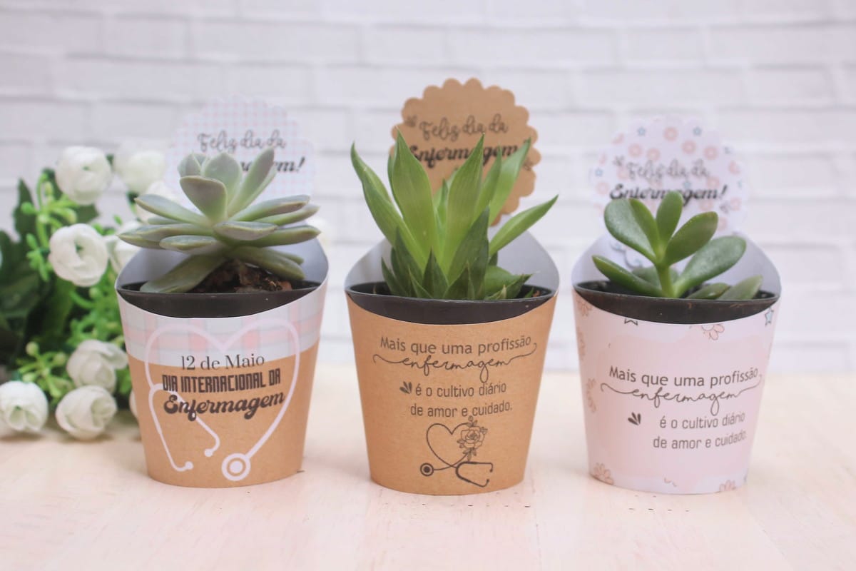 Saia suculenta Dia do Enfermeiro em kit digital 4 Três vasos de plantas suculentas em arte digital, com embalagens e tags temáticas de enfermagem.