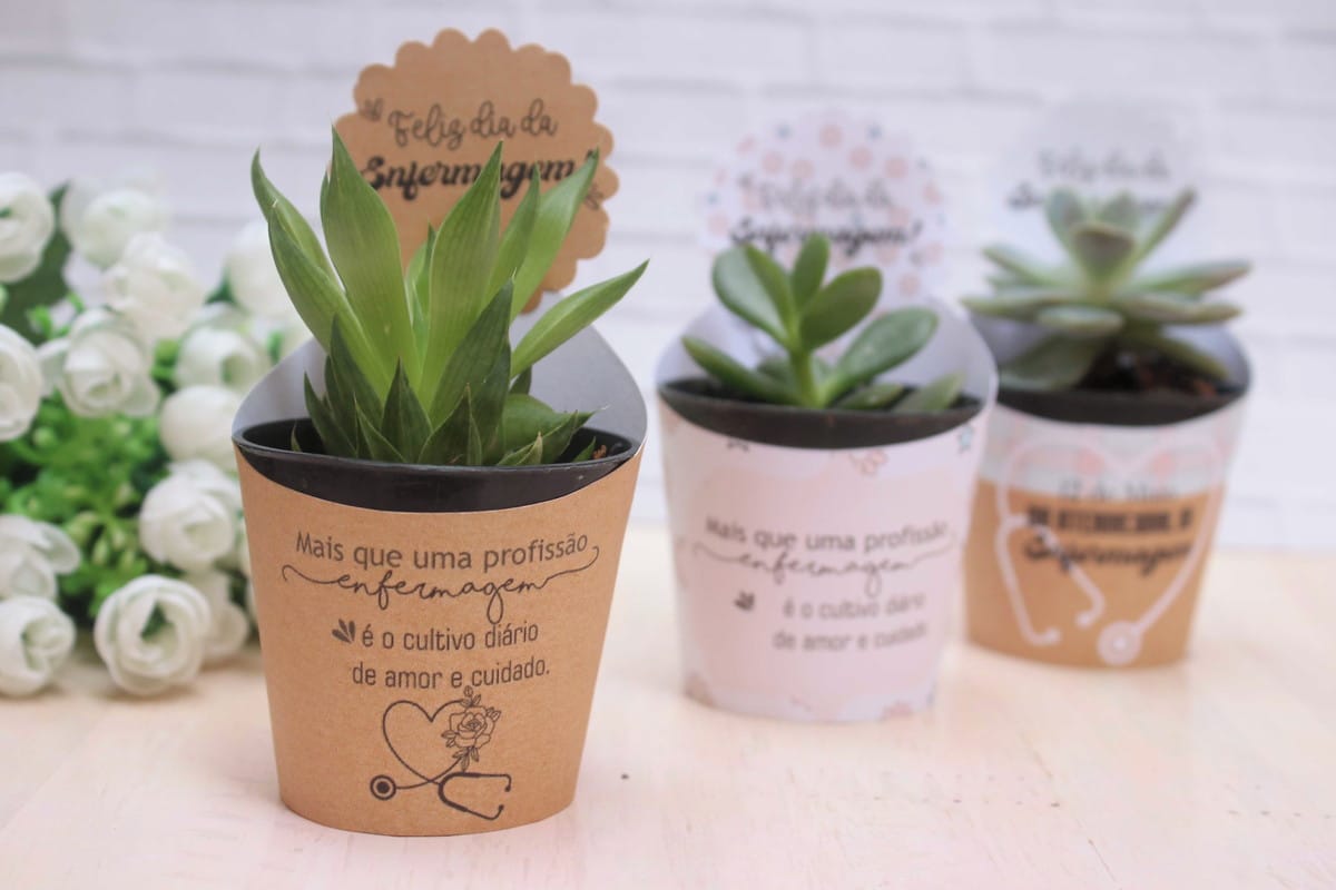 Saia suculenta Dia do Enfermeiro em kit digital 1 Três vasos com plantas decorados com tags e mensagens de Enfermagem.