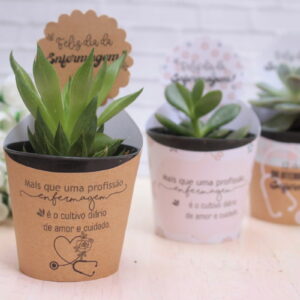 Três vasos com plantas decorados com tags e mensagens de Enfermagem.