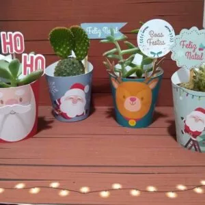 Quatro vasinhos com suculentas e cactos decorados com temas de Natal sobre madeira.